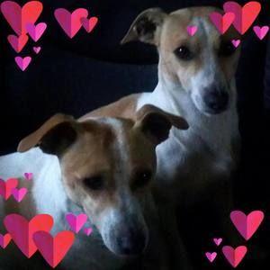 Meet your Posher, Sallylee